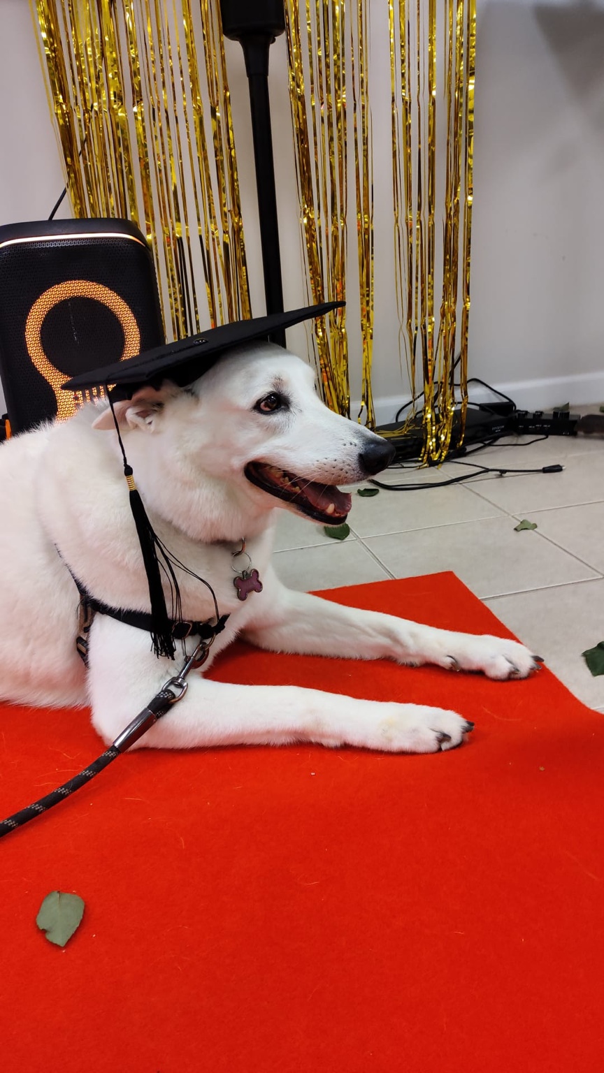 Lighthouse Graduation Party · our guest of honor